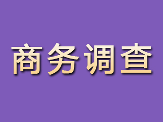 成安商务调查